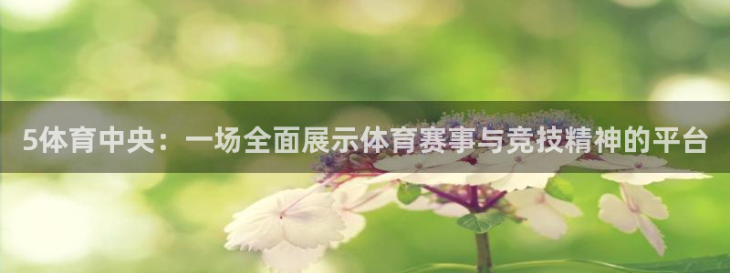 说球帝直播