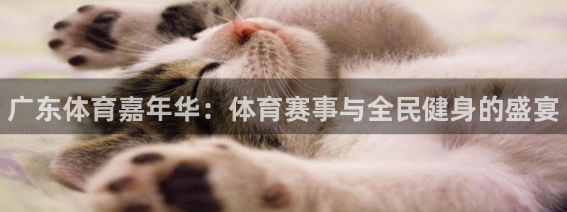体育新闻