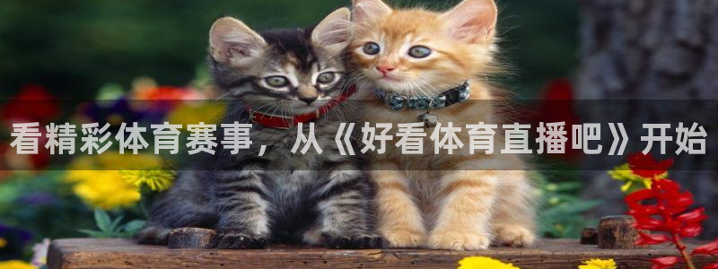 体育新闻