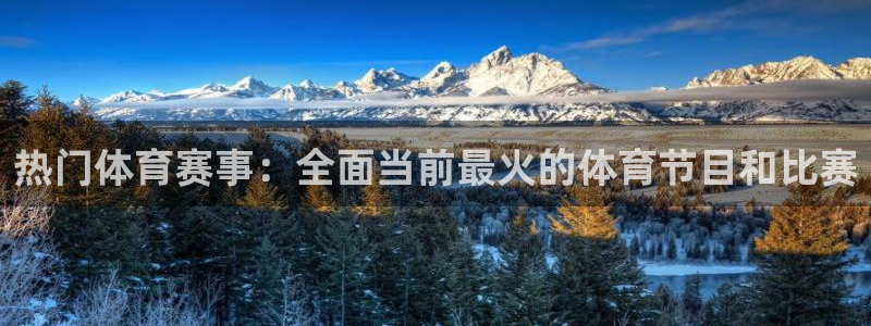说球帝直播下载