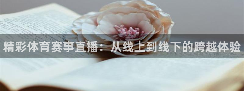 说球帝在线