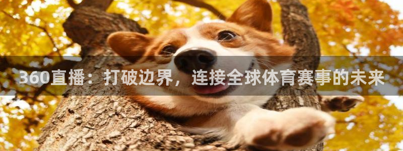 体育新闻
